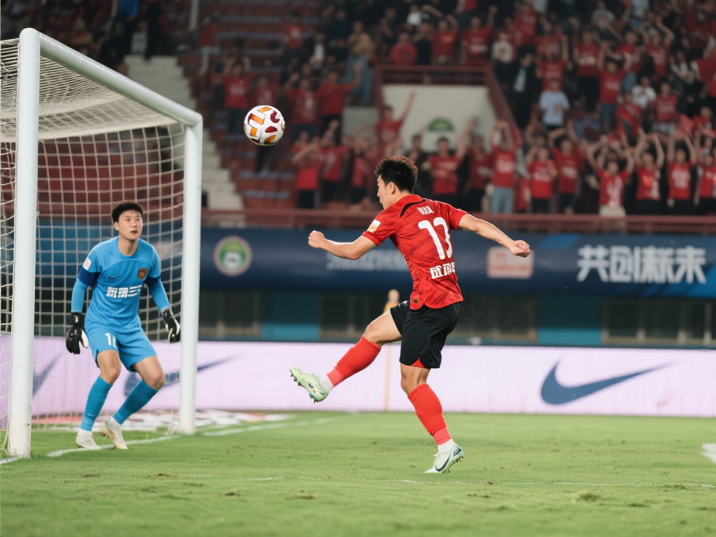 取得的冠军 取得的冠军